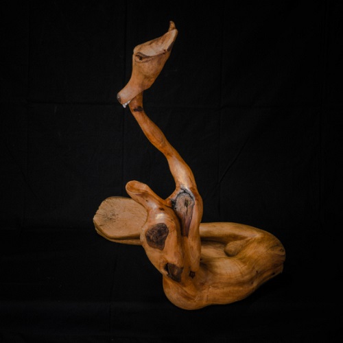 Lupo, Birnbaum, 75 cm hoch