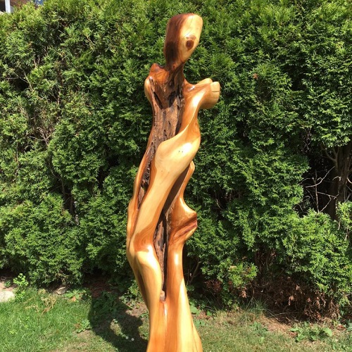 Tango, Kirschbaum, 160 cm