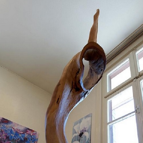 Sterngucker, Apfelbaum, 40x210cm