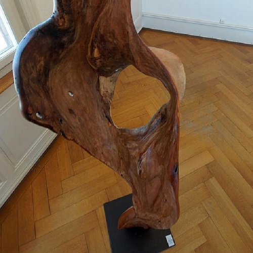 Sterngucker, Apfelbaum, 40x210cm