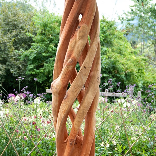 Douglasie, 280x50cm